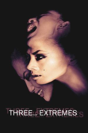 Three... Extremes's poster
