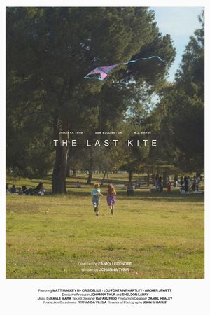 The Last Kite's poster