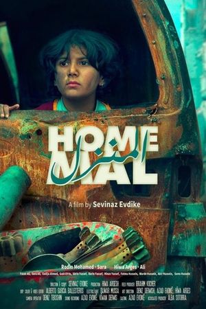 Home's poster image