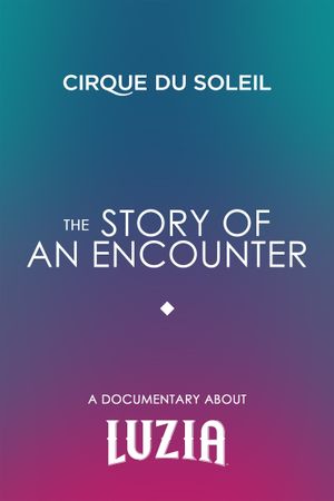 The Story Of An Encounter's poster