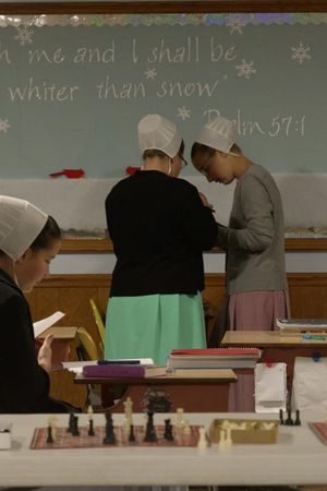 The Amish Dilemma's poster