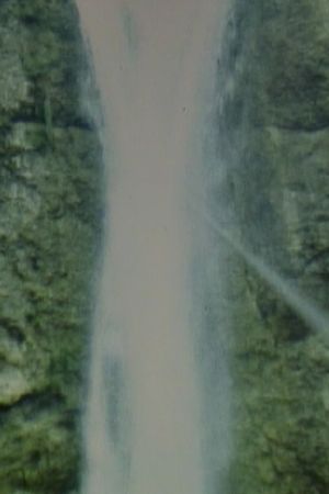 Waterfall's poster image