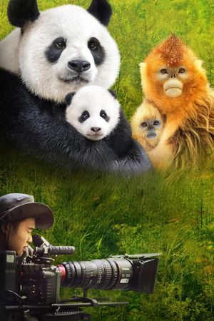Expedition China's poster