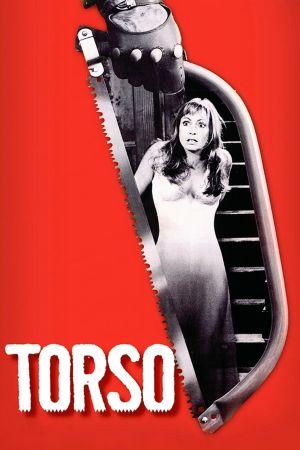 Torso's poster image