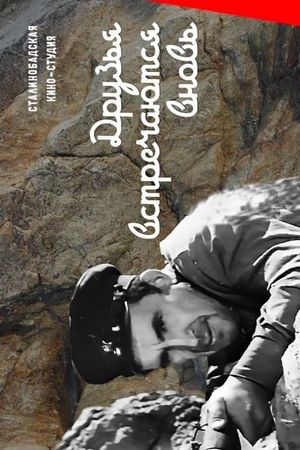 Druzya vstrechayutsya vnov's poster