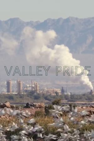 Valley Pride's poster