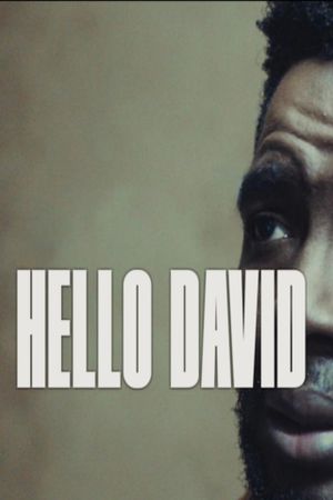 Hello David's poster