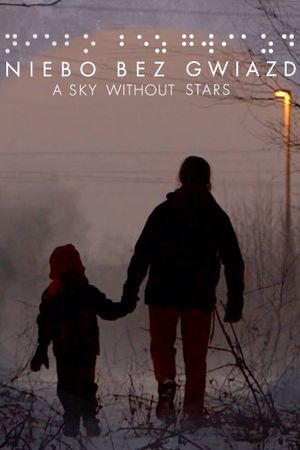 A Sky Without Stars's poster