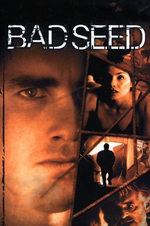Bad Seed's poster
