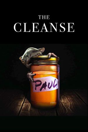 The Cleanse's poster