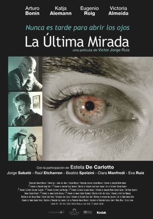 The Last Look's poster
