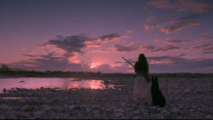 Birdshot's poster
