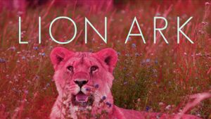 Lion Ark's poster