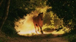 American Mustang's poster
