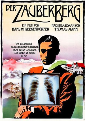 The Magic Mountain's poster