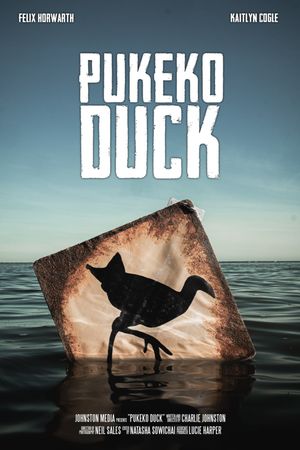 Pukeko Duck's poster