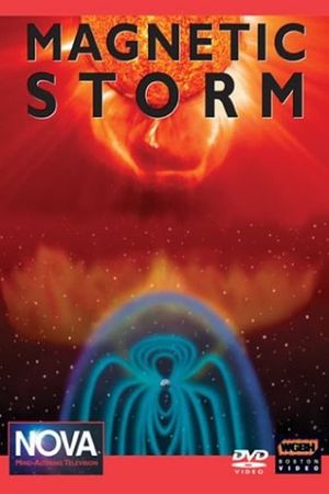 Magnetic Storm's poster image