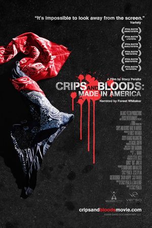Crips and Bloods: Made in America's poster