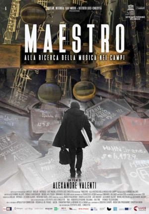 Maestro - Alla ricerca della musica nei campi's poster