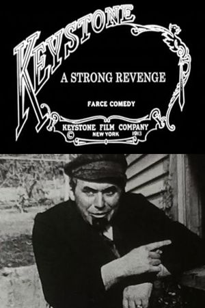 A Strong Revenge's poster image