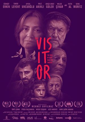 The Visitor's poster