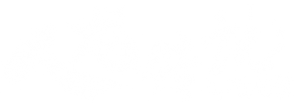 The Nine Dragon Wall's poster