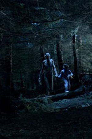 Ordan's Forest's poster