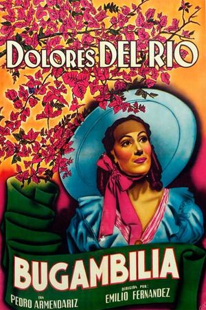 Bugambilia's poster