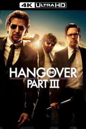 The Hangover Part III's poster
