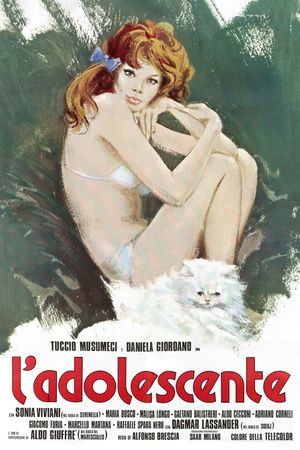 The Adolescent's poster