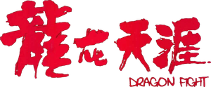 Dragon Fight's poster