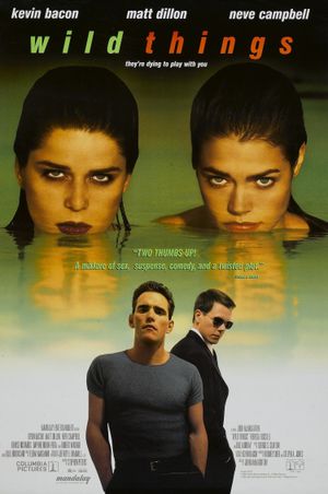 Wild Things's poster