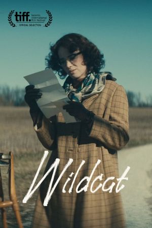 Wildcat's poster