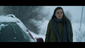 Snow and the Bear's poster