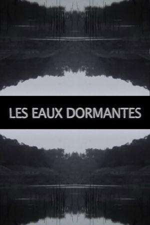 Les Eaux dormantes's poster image