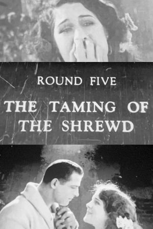 The Taming of the Shrewd's poster