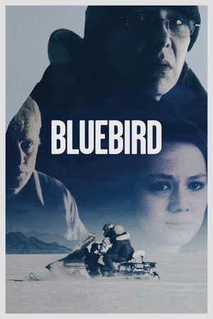 Bluebird's poster
