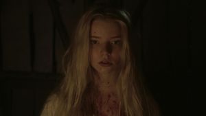 The Witch's poster