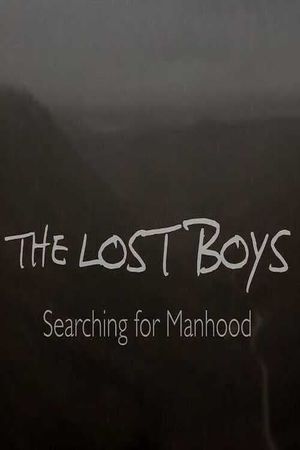 The Lost Boys: Searching for Manhood's poster