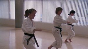 Spirit of the Kata's poster