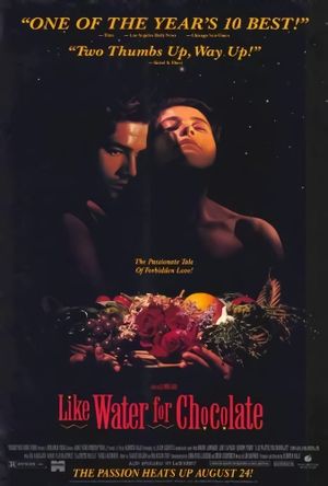 Like Water for Chocolate's poster