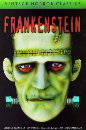 Mary Shelley's Frankenstein - A Documentary's poster image