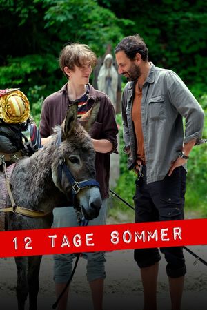 12 Tage Sommer's poster