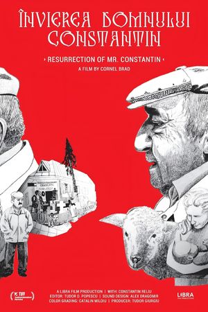 Resurrection of Mr. Constantin's poster image