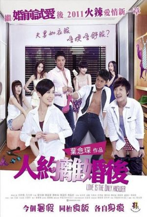 Love Is the Only Answer's poster image
