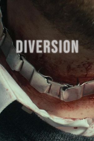 Diversion's poster image