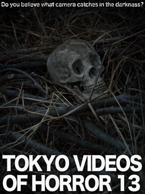 Tokyo Videos of Horror 13's poster