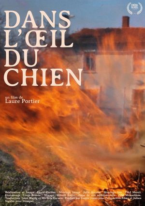 Dans l'oeil du chien's poster image