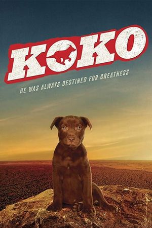Koko: A Red Dog Story's poster