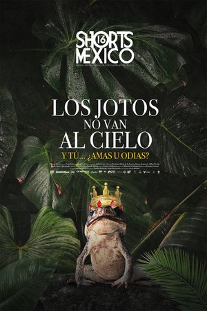 Los jotos no van al cielo's poster